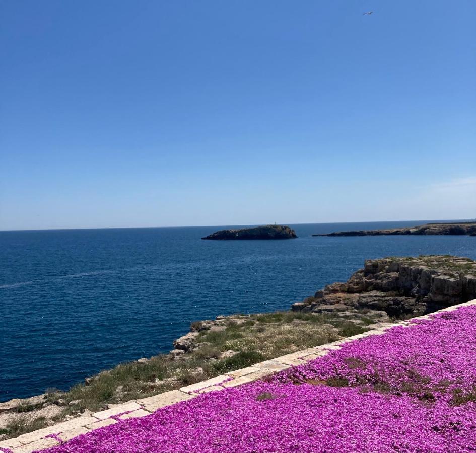 Essence Appartament Polignano a Mare Eksteriør bilde